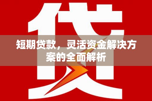 保德短期贷款，灵活资金解决方案的全面解析
