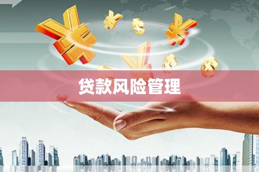 保德贷款风险管理