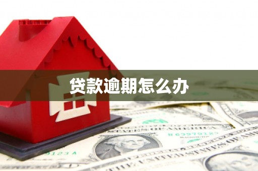 保德贷款逾期怎么办