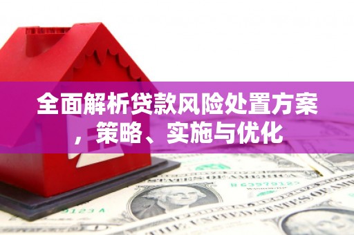 保德全面解析贷款风险处置方案，策略、实施与优化
