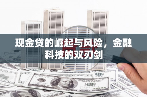 保德现金贷的崛起与风险，金融科技的双刃剑