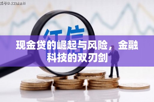 保德现金贷的崛起与风险，金融科技的双刃剑