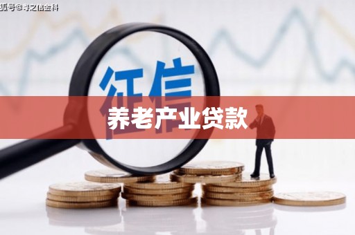 保德养老产业贷款