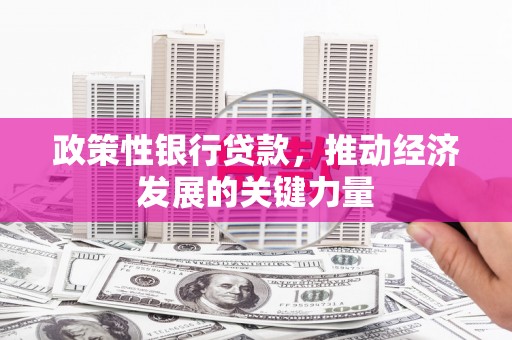 保德政策性银行贷款，推动经济发展的关键力量