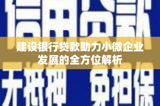 保德建设银行贷款助力小微企业发展的全方位解析