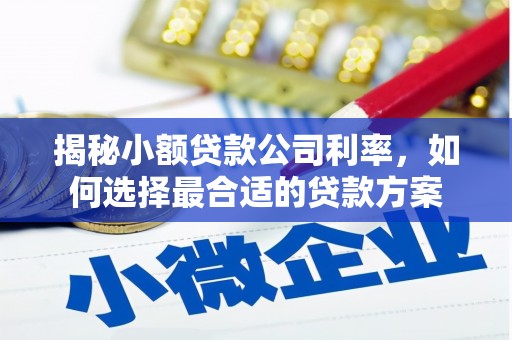保德揭秘小额贷款公司利率，如何选择最合适的贷款方案