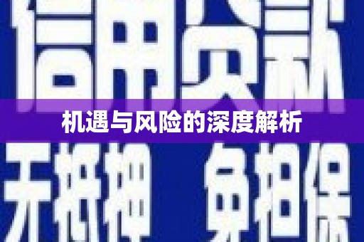 保德机遇与风险的深度解析