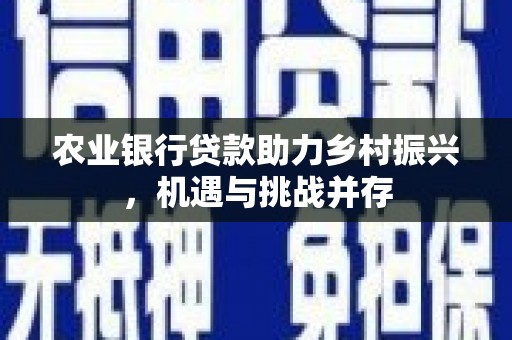 保德农业银行贷款助力乡村振兴，机遇与挑战并存