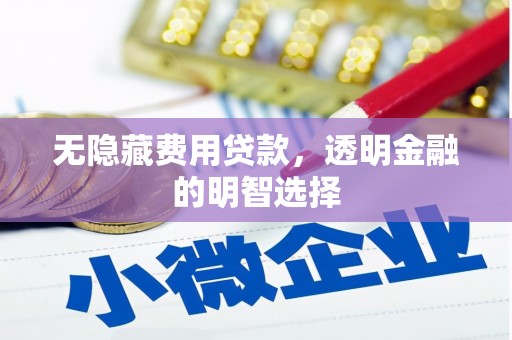 保德无隐藏费用贷款，透明金融的明智选择