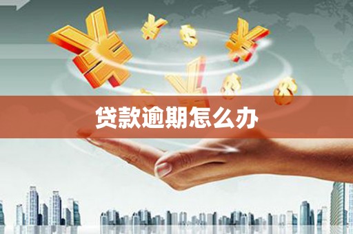 保德贷款逾期怎么办