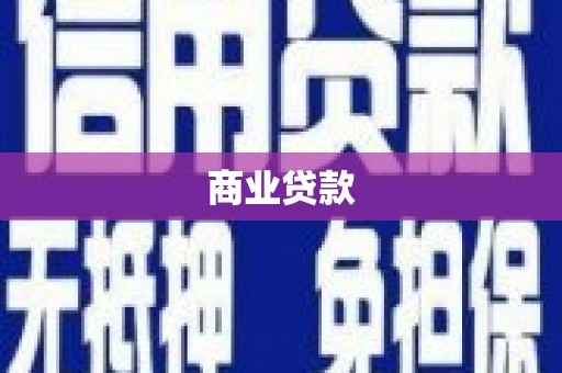 保德商业贷款