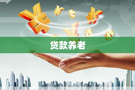 保德贷款养老