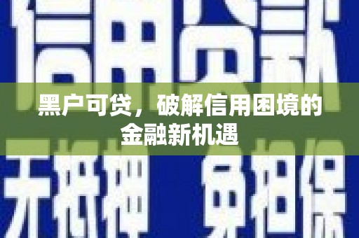 保德黑户可贷，破解信用困境的金融新机遇