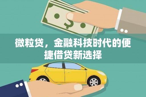 保德微粒贷，金融科技时代的便捷借贷新选择