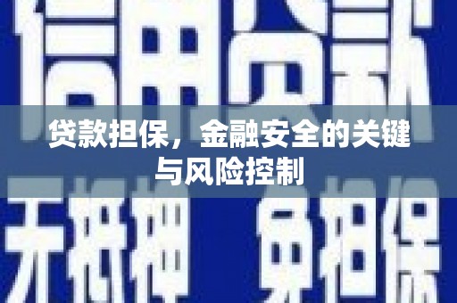保德贷款担保，金融安全的关键与风险控制