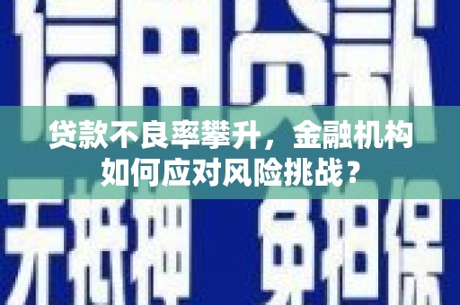 保德贷款不良率攀升，金融机构如何应对风险挑战？