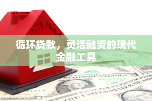 保德循环贷款，灵活融资的现代金融工具