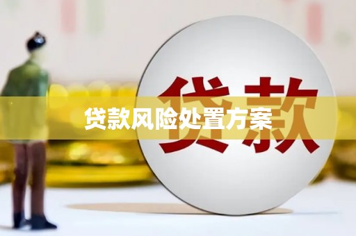 保德贷款风险处置方案
