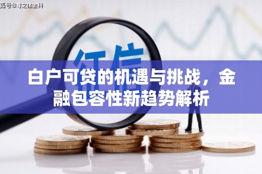 保德白户可贷的机遇与挑战，金融包容性新趋势解析