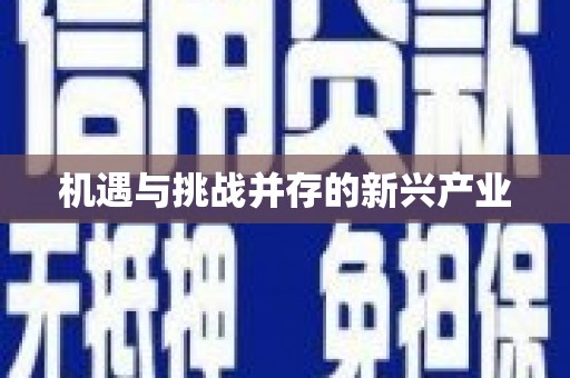 保德机遇与挑战并存的新兴产业