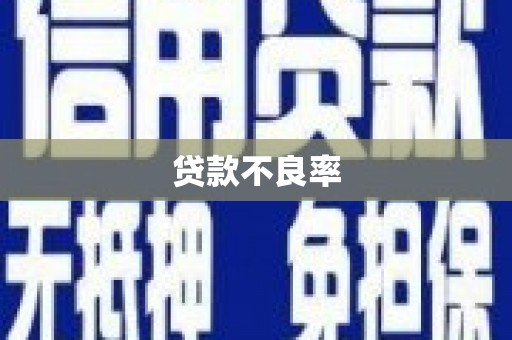 保德贷款不良率