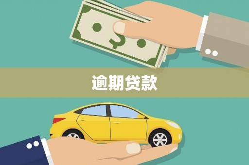 保德逾期贷款