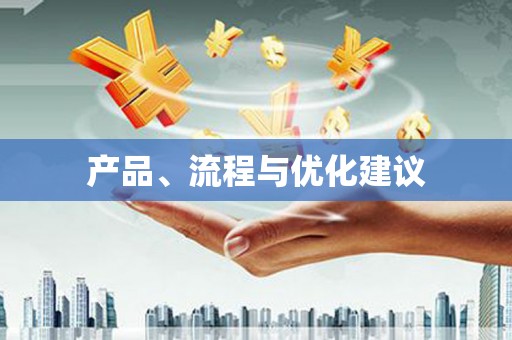 保德产品、流程与优化建议