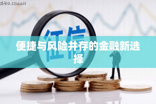 保德便捷与风险并存的金融新选择