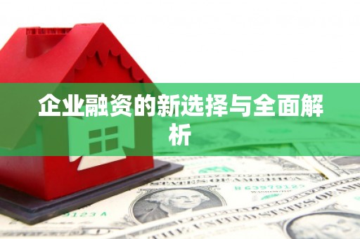 保德企业融资的新选择与全面解析