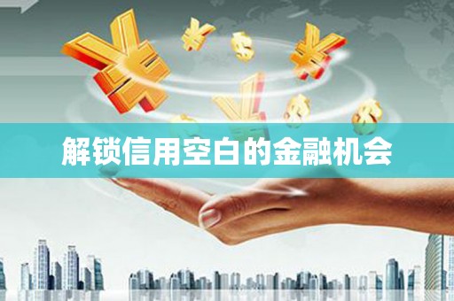 保德解锁信用空白的金融机会