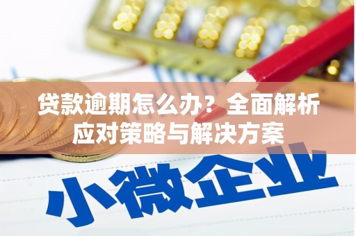 保德贷款逾期怎么办？全面解析应对策略与解决方案