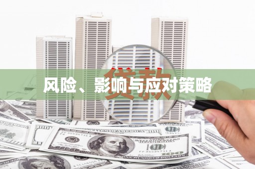 保德风险、影响与应对策略