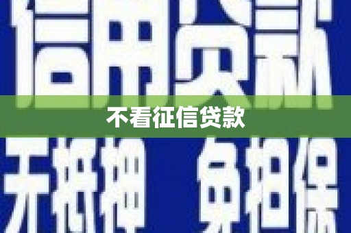 保德不看征信贷款