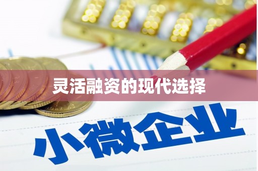 保德灵活融资的现代选择