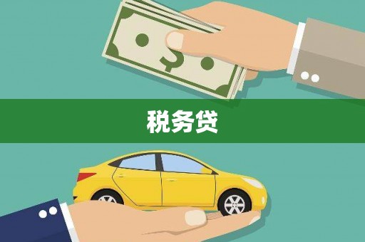 保德税务贷