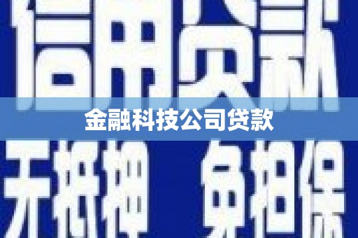 保德金融科技公司贷款