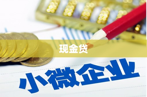 保德现金贷