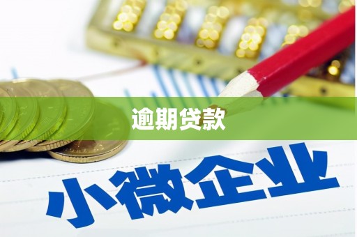 保德逾期贷款