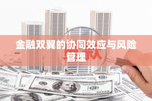 保德金融双翼的协同效应与风险管理