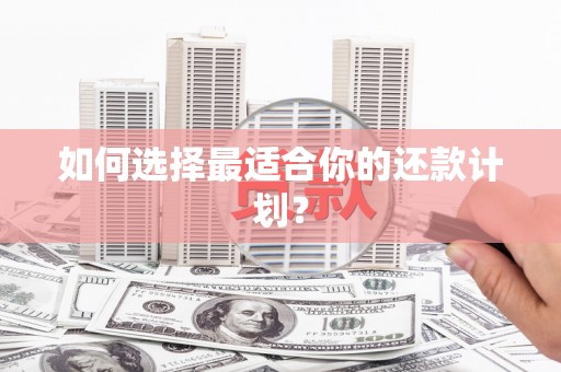保德如何选择最适合你的还款计划？