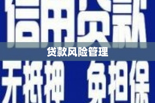 保德贷款风险管理